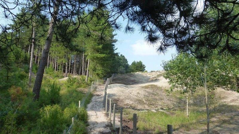 Hamac Chic Vue Mer. Berck Dış mekan fotoğraf